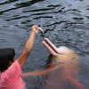 AMAZONIA - voyage en terres indigènes – Image 3